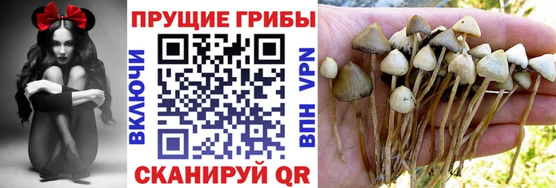 что такое наркотик  Новохопёрск  кракен как войти  Псилоцибиновые грибы мухоморы 